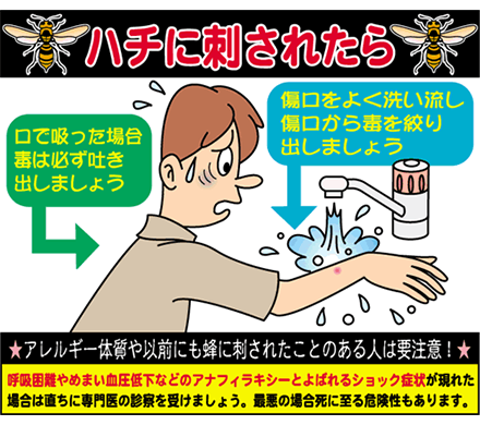 どうなる たら に 蜂 刺され ハチの巣ができやすい家の特徴と巣を作らせないための対策｜蜂（ハチ）駆除｜蜂駆除・蜂の巣駆除に365日対応！全国どこでも｜害虫の生活救急車